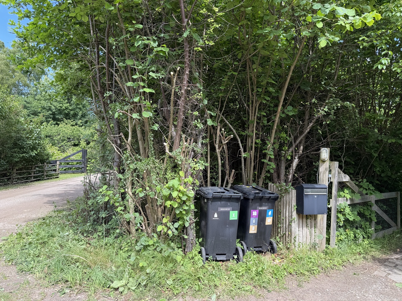 beskaering-af-naturhaek-tisvildeleje-plads-ved-skraldespande-efter-beskaering-2026-06-10 14.44.26