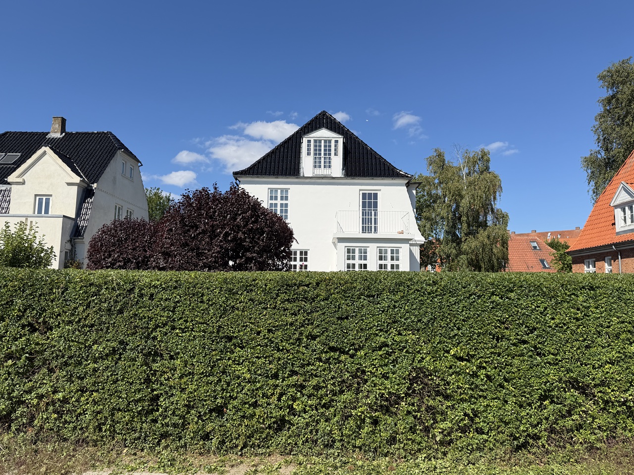 Færdigklippet hæk i Valby Færdigklippet hæk foran villa og blodblommer i Valby.