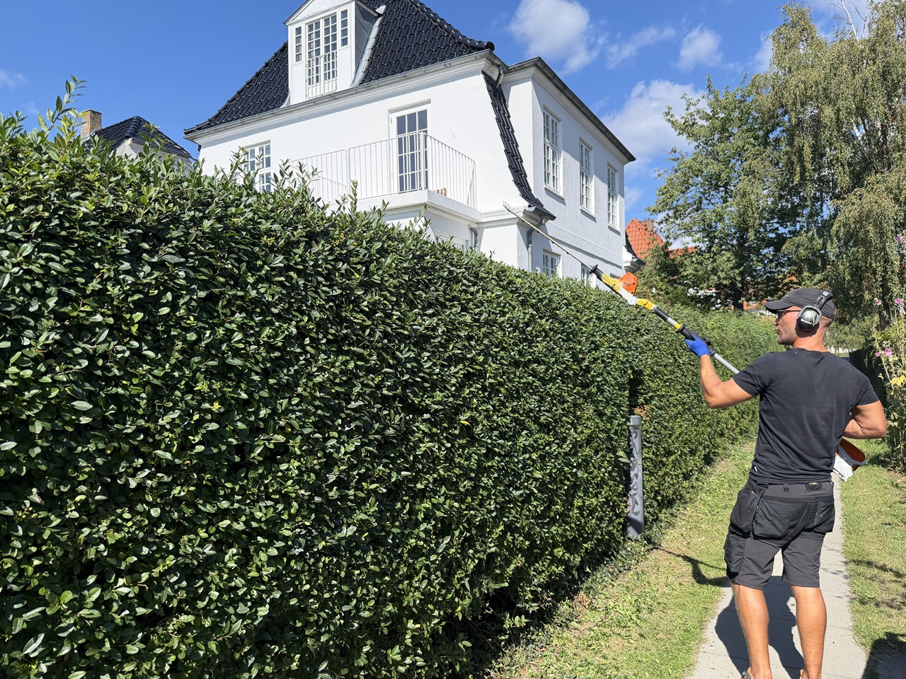 Hækklipning som del af haveservice i Valby Hækklipning med stanghækkeklipper ved villa i 2500 Valby.
