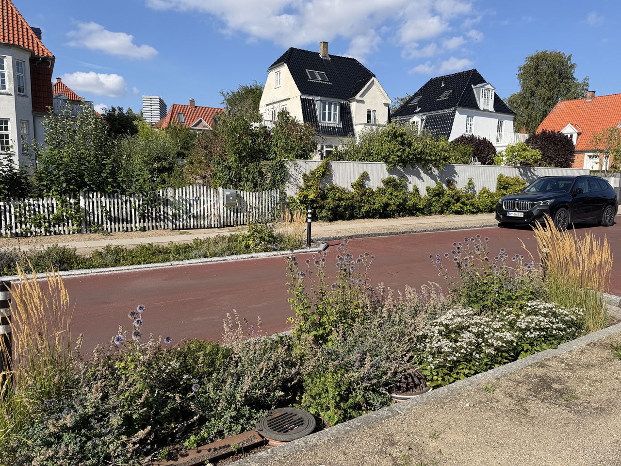 Blomstrende regnbed og villahave i Valby Blomstrende regnbed i Valby med den arbejdede have og blodblommerne synlige på modsatte side af vejen.