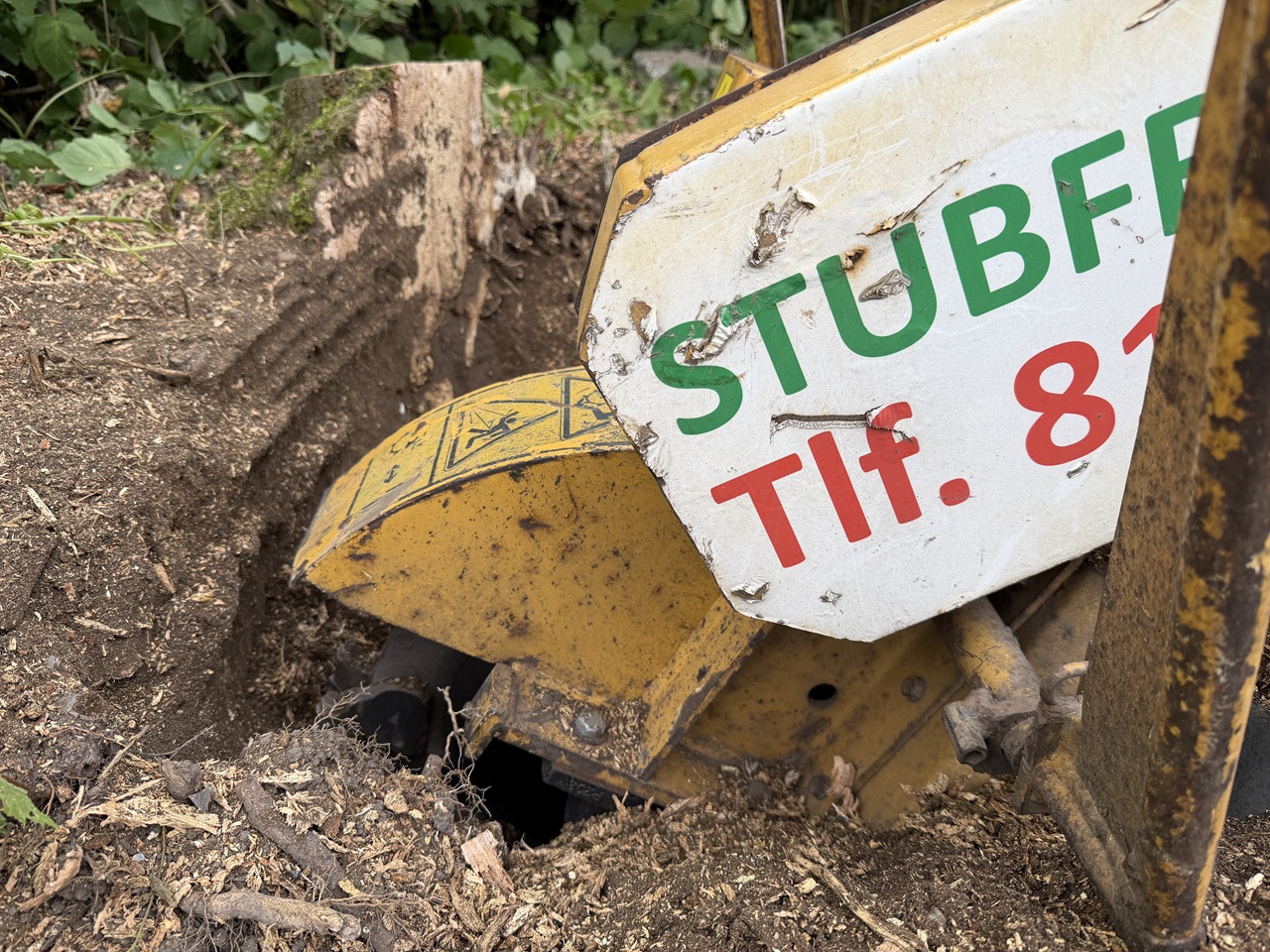 Stubfræsning i den nødvendige dybde Stubfræser arbejder dybt under terræn ved fjernelse af stor træstub før belægning