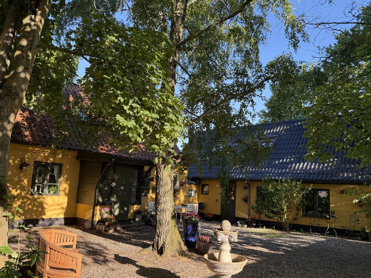 gaardmiljoe-efter-traefaeldning-og-oprydning-amager-2 2026-06-30 07.09.15
