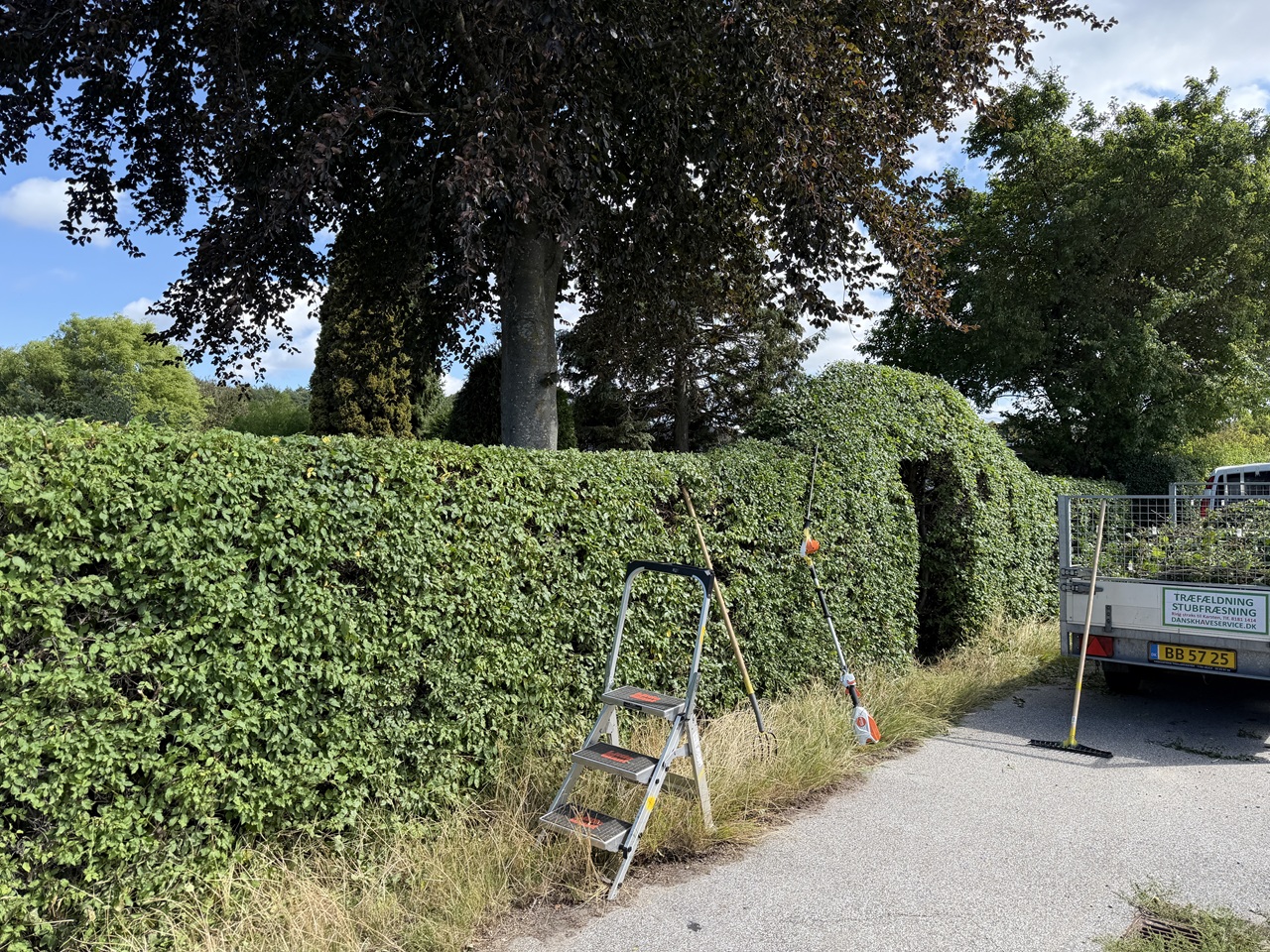 Færdigklippet lang hæk i Frederiksværk med stige, redskaber og Dansk Haveservices bil.