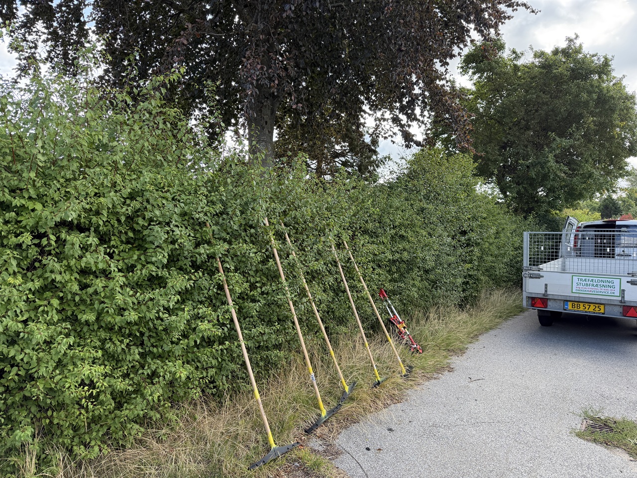 Lang hæk i Frederiksværk med redskaber og Dansk Haveservices bil klar til hækklipning.