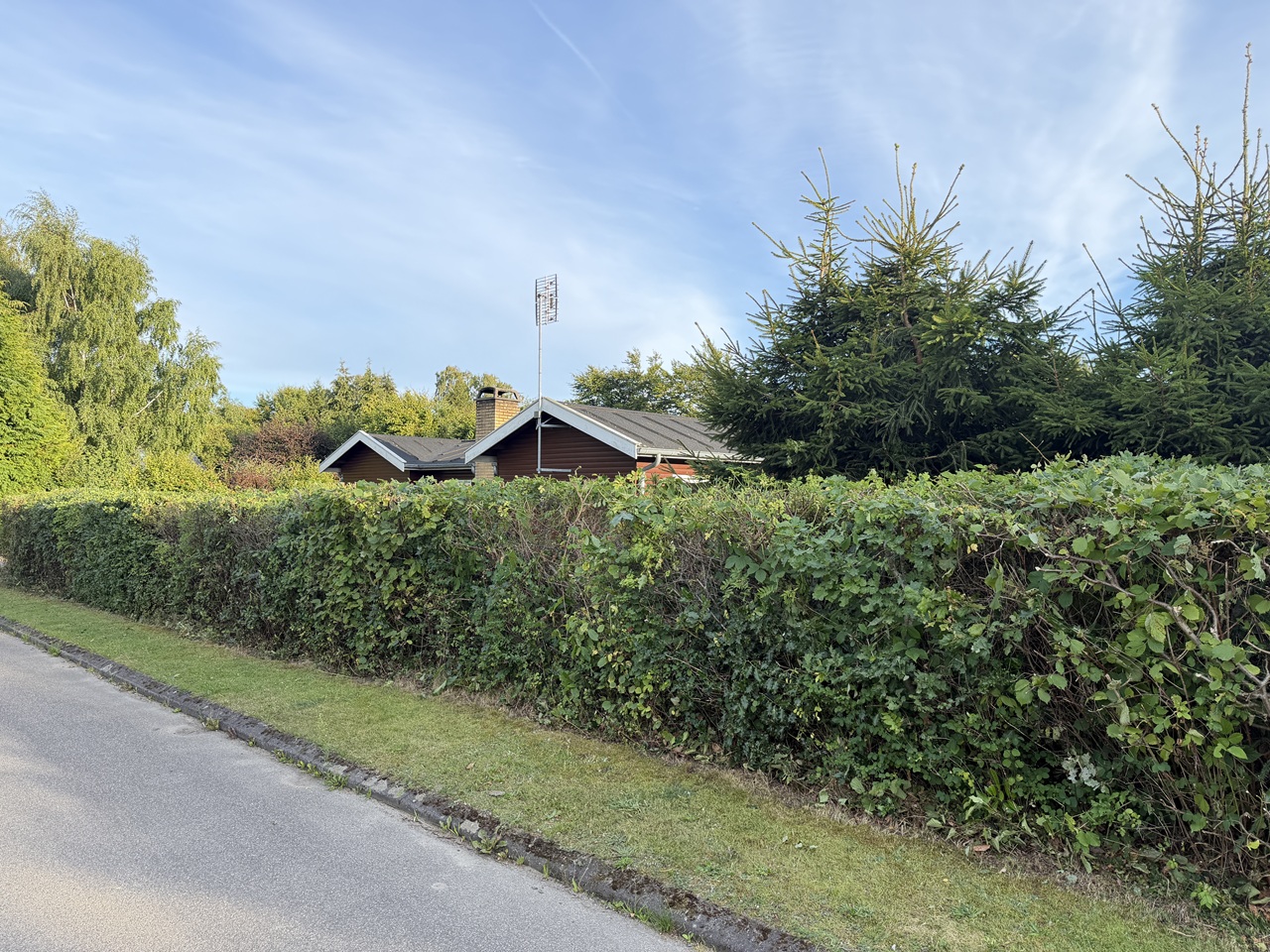 Naturhæk langs vejen ved hus i 3100 Hornbæk.