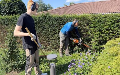 Haveservice i 2840 Holte – istandsættelse af en frodig have i Øverød