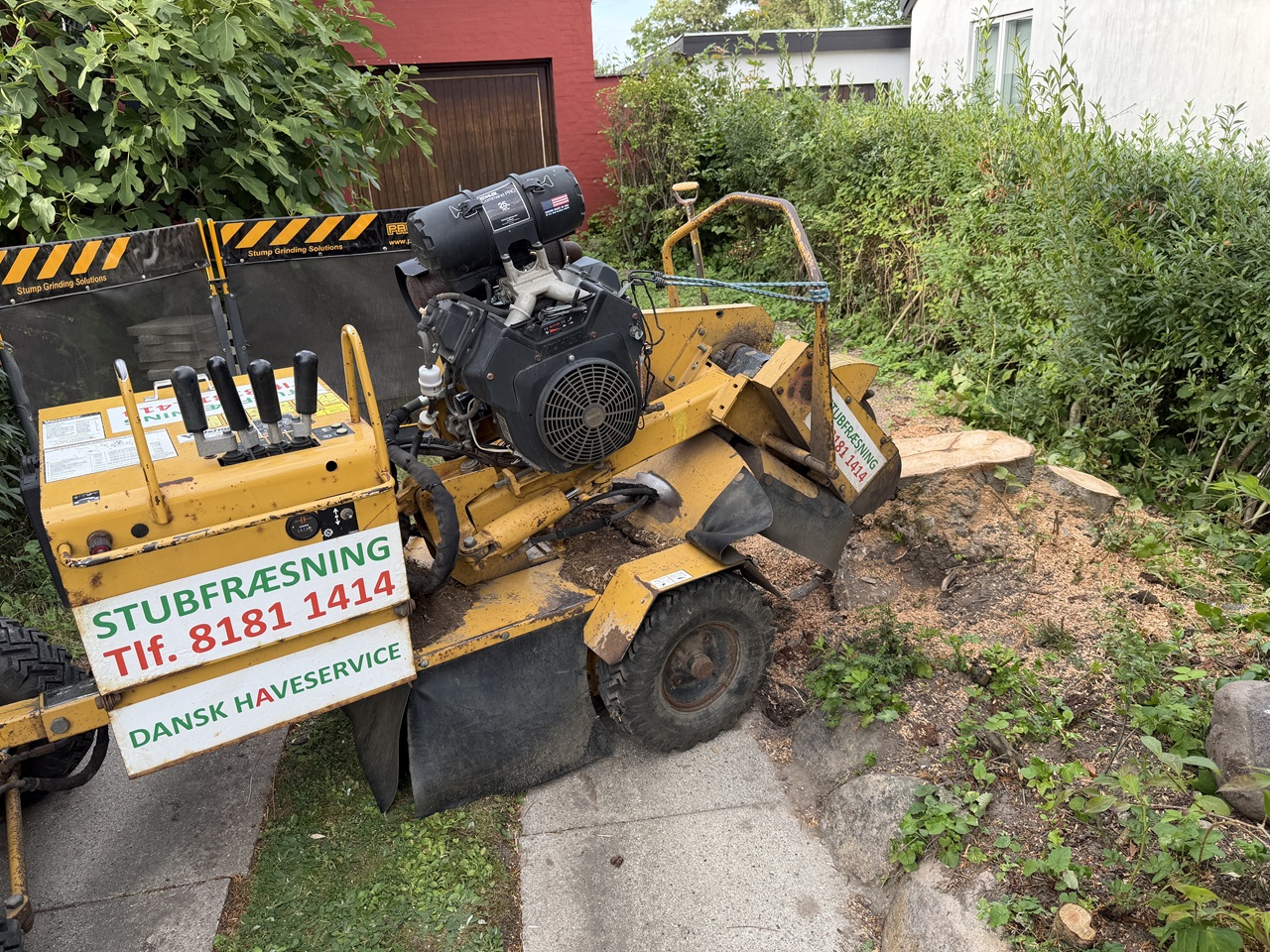 Stubfræseren placeret ved arbejdsområdet Stubfræser placeret ved stor træstub på smal indkørsel før fræsning