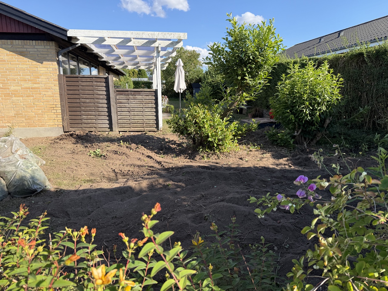 stubfraesning-holbaek-aaben-have-efter-fjernelse-af-stubbe-2026-08-01 17.42.21