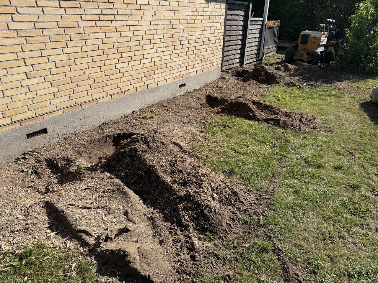 stubfraesning-holbaek-fjernede-stubbe-langs-husmur-2026-08-01 16.59.16