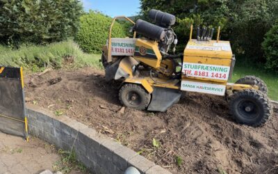 Stubfræsning i 4330 Hvalsø – plads til en ny have