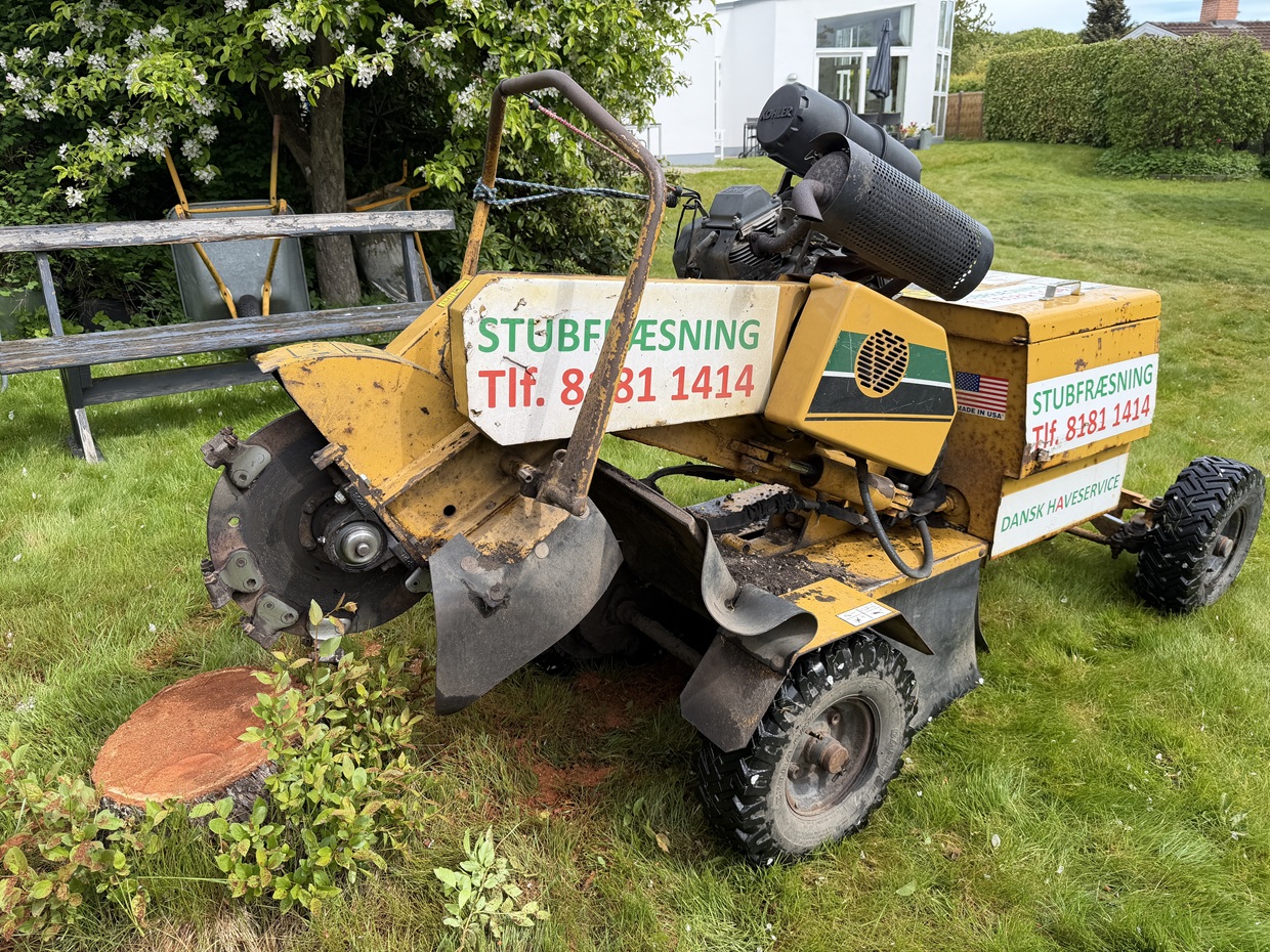 Stubfræsning i Værløse – stor træstub Stubfræsning i Værløse med Dansk Haveservices stubfræser ved stor træstub