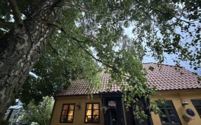 Træfældning og beskæring i Kastrup på Amager