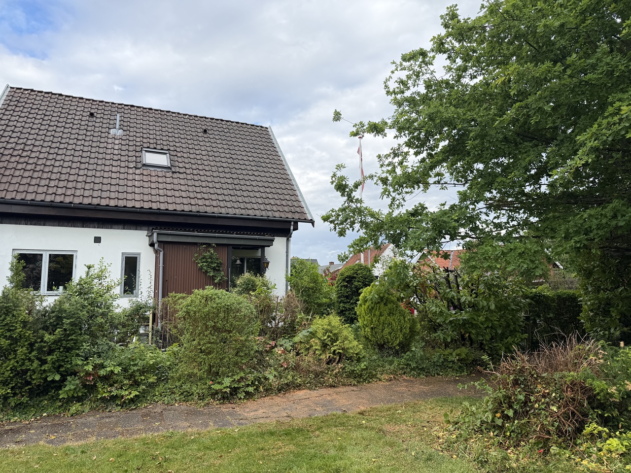 traefaeldning-hvidovre-aaben-have-efter-faeldning-2026-06-05 17.25.32