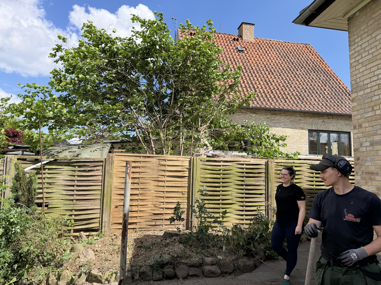 Åbnet område og tilbageværende beplantning efter træfældning i Valby.