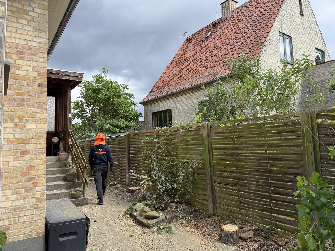 Ryddet område langs hegn efter træfældning og beskæring i Valby.