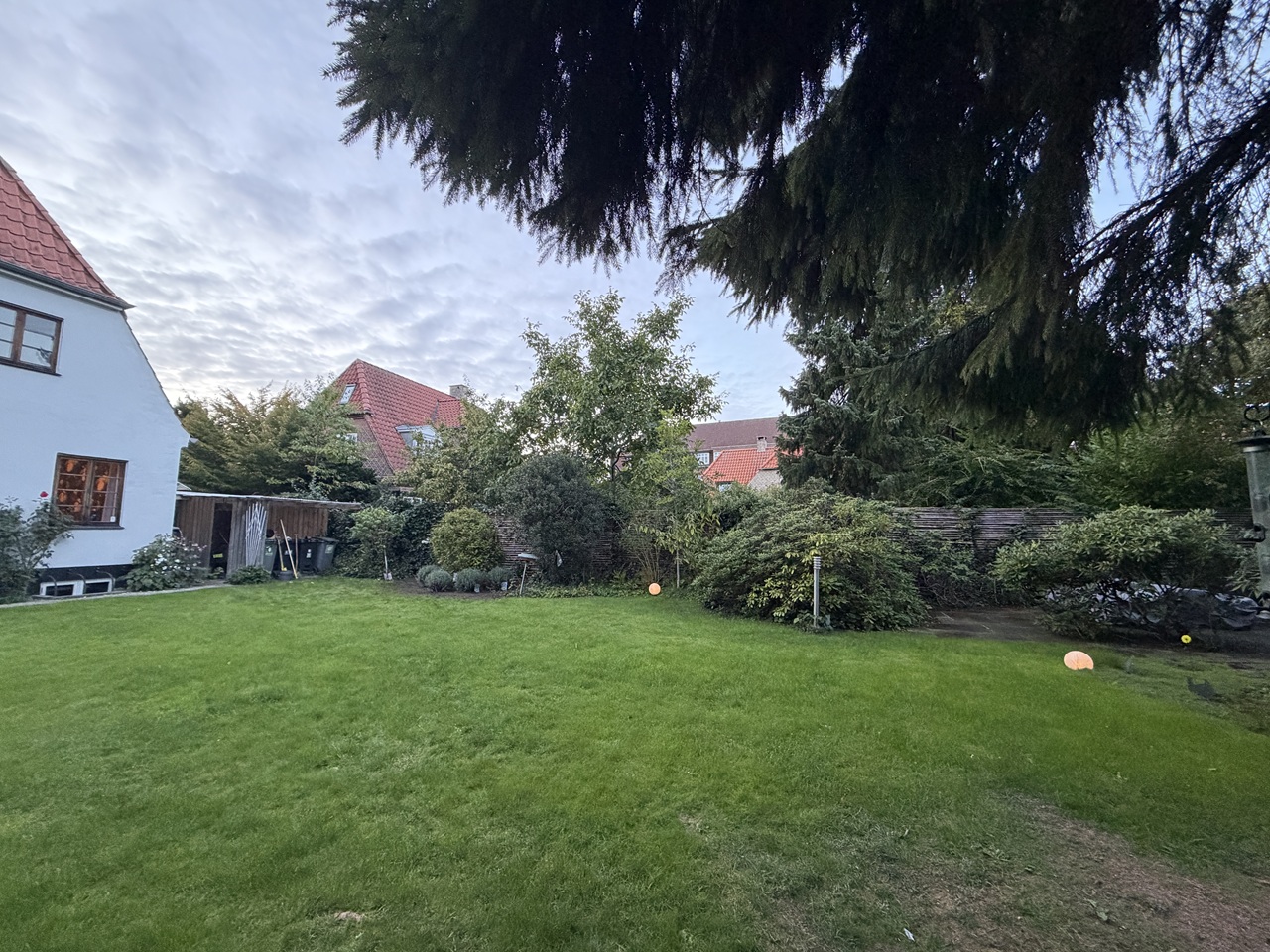 Moden grøn have i 2000 Frederiksberg, hvor det nye lavendelbed indgår som en mindre del af den samlede beplantning.