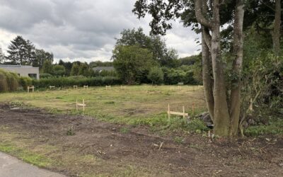 Rydning af byggegrund i 3480 Fredensborg – klar til byggeri