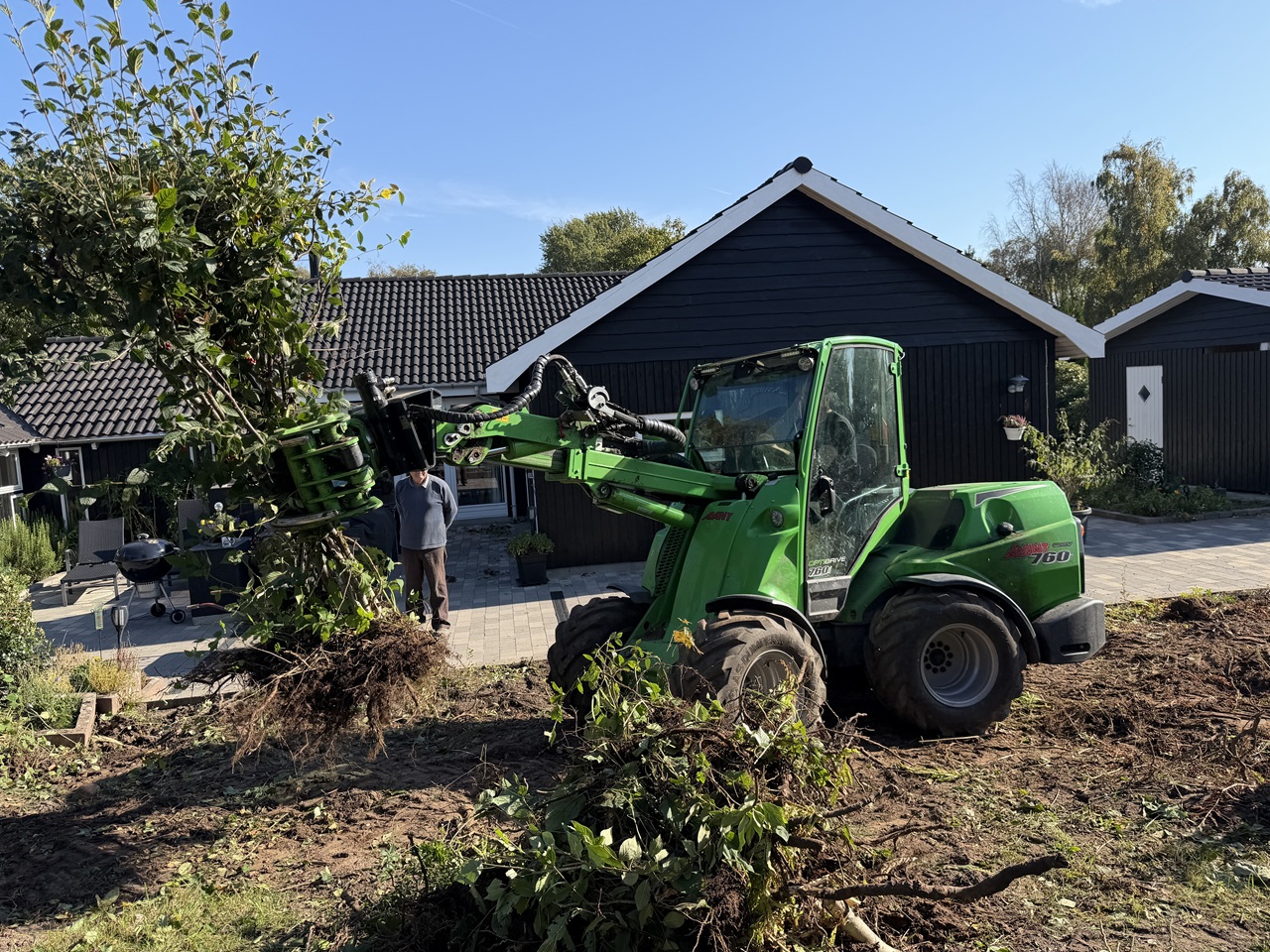 Grøn Avant løfter en hækplante med synlige rødder foran sommerhuset i Gilleleje.