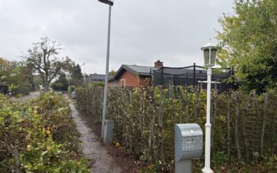 Indskæring af bøgehæk i Ganløse 3660 Stenløse
